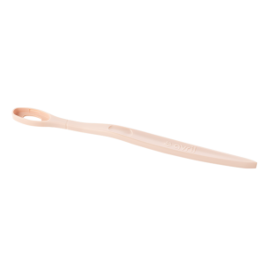 Toothbrush handle with refillable head