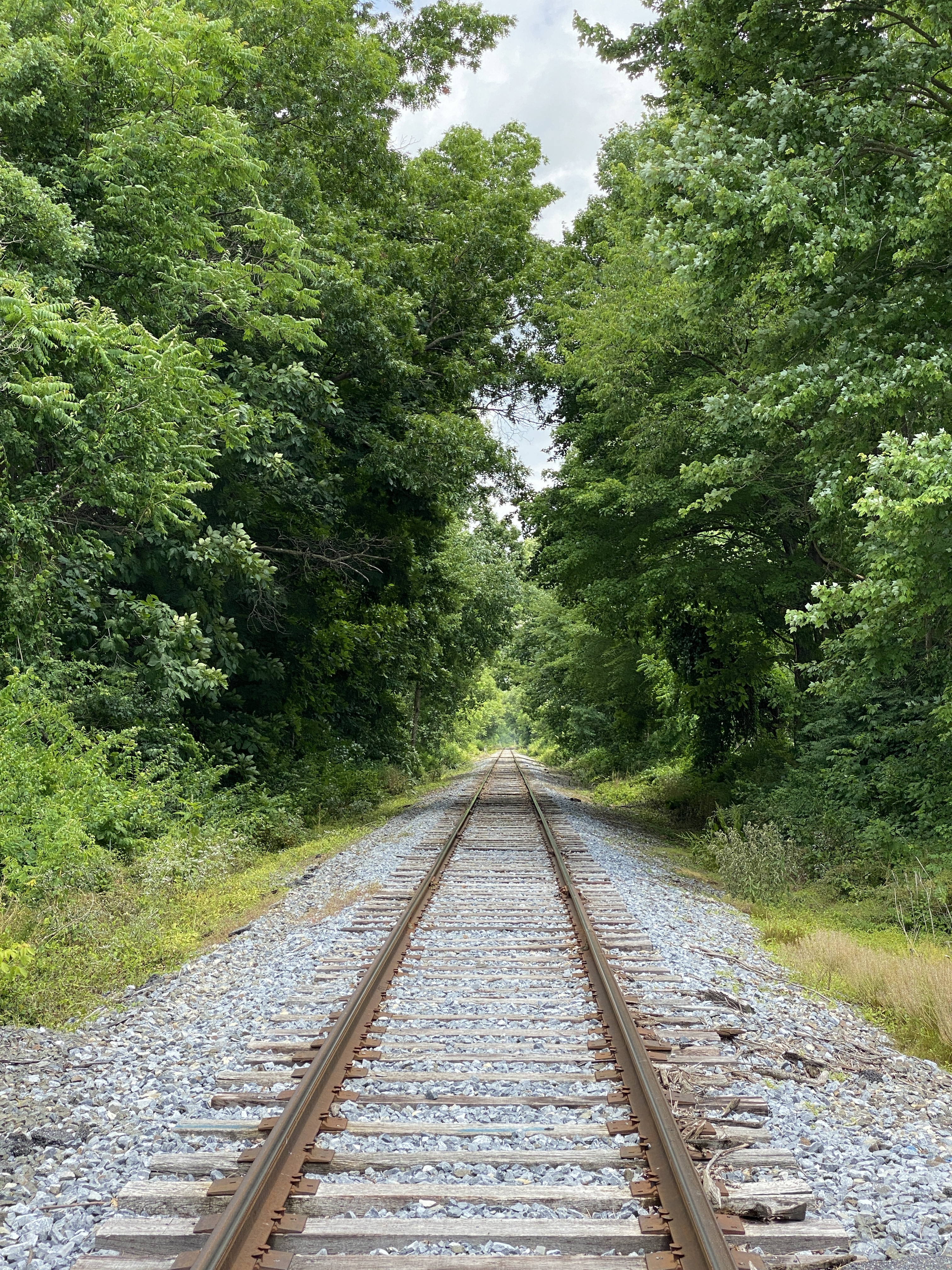 We take the train